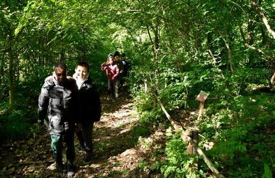 Visite Guide Des Petits Du Jardin Des Plantes : Ma Premire Dcouverte Du Jardin Des Plantes  Paris 5me