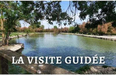 Visite guide du Marais aux Oiseaux  Dolus d'Oleron