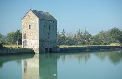 Visite guide du moulin  mare de Boschet  Saint Suliac