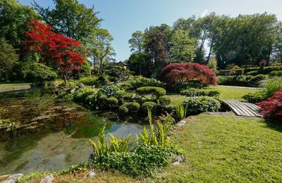 Visite guide du parc de Courances