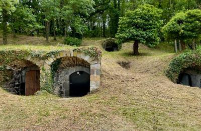 Visite guide du site des 140 caves de Saint-Julien  Montaigut le Blanc