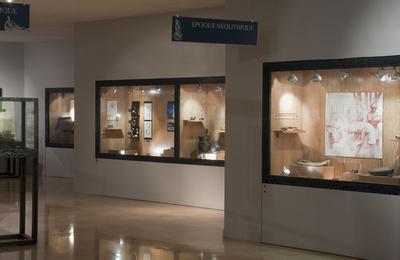 Visite guide ides reues sur les gaulois au muse archologique  Dijon