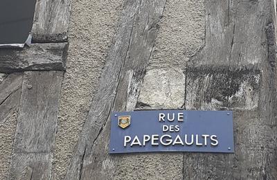 Visite guide : Mystrieux noms de rues  Blois