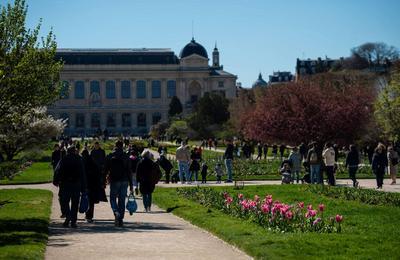 Visite guide Promenade littraire et historique dans le Jardin des Plantes  Paris 5me