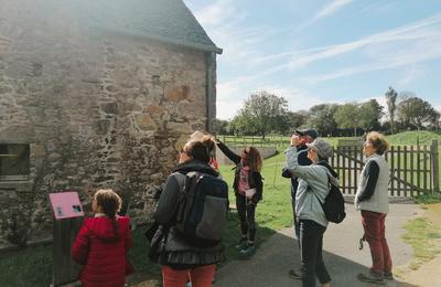 Visite guide : secrets d'herboriste, les super-pouvoirs des plantes locales  La Hague