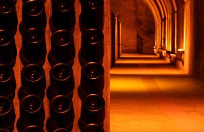 Visite guide sur l'histoire de Georges Hermann Mumm et du Champagne  Reims