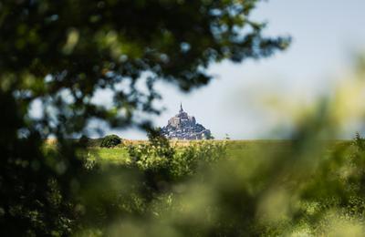 Visite guide : un jour, une espce, les oiseaux migrateurs du Couesnon  Le Mont saint Michel