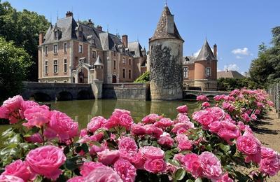 Visite historique, architecturale et paysagre du chteau de Saint-Germain-ls-Buxy