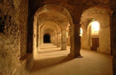 Visite libre d'une partie de l'ancien forum antique  Reims