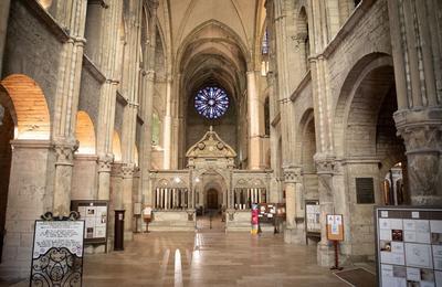Visite libre de l'ancienne abbaye bndictine Saint-Remi  Reims