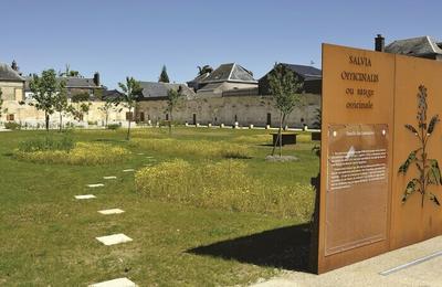 Visite libre de la chartreuse Saint Julien et du jardin du cloître à Le Petit Quevilly