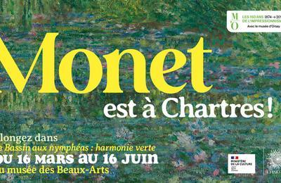 Visite libre des collections du muse des beaux-arts et du tableau de Claude Monet  le Bassin aux nymphas  Chartres