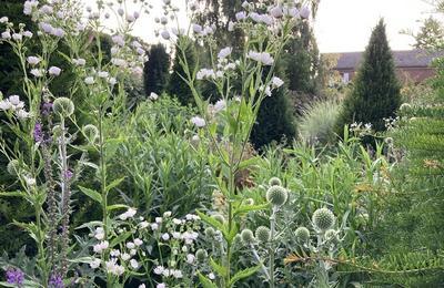 Visite libre des jardins  Guiseniers