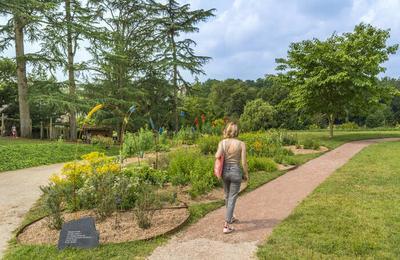 Visite libre du Jardin Camifolia  Chemill-en-Anjou