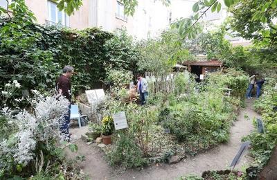Visite libre du jardin Georgette Boeuf et ateliers enfants et familles  Boulogne Billancourt