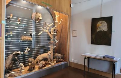 Visite Libre Et Commentée Du Muséum D'histoire Naturelle à Gray