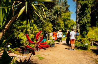 Visite libre et guide du parc floralLes sens des 5 continents  Marsillargues