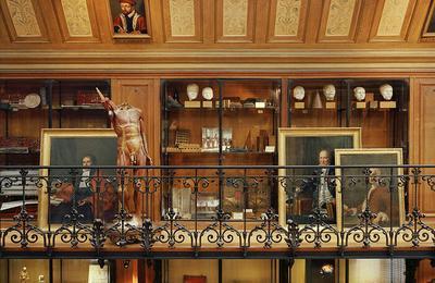 Visite Libre (sur Inscription) Au Muse D'histoire De La Mdecine  Paris 6me