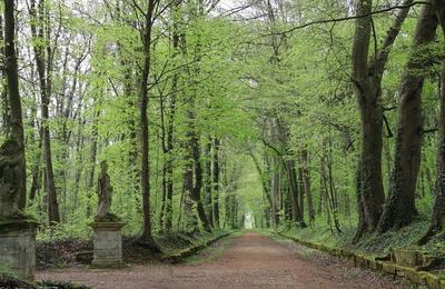 Visite- promenade du Parc historique et botanique d'Ognon  Villers-Saint-Frambourg-Ognon