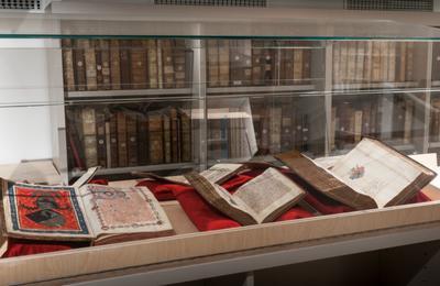 Visites commentes des rserves visitables  Strasbourg