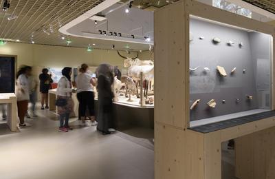 Visites de l'exposition L'art préhistorique, de l'atlantique à la méditerranée à Bordeaux