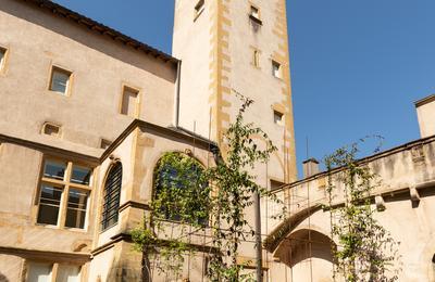 Visites Flash  7 Sicles D'histoire Et D'art   Metz