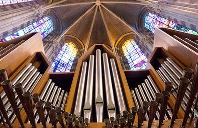 Visites Guidées À La Basilique Saint Fran?ois De Sales à Thonon les Bains