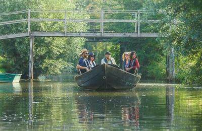 Visites guides : Chantier naval et marais en bateau  Saint Omer