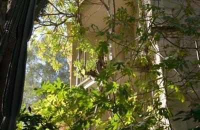 Visites Guides De La Villa Romaine  Hyeres