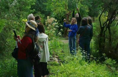 Visites guides du jardin botanique de la facult de sant d'Angers