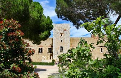 Visites guides du palais des rois de Majorque  Perpignan