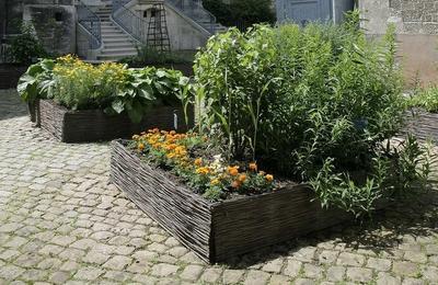 Visitez Un Jardin De Teinturier  Troyes