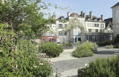 Visitez un jardin des plantes médicinales du XIIe siècle à Troyes