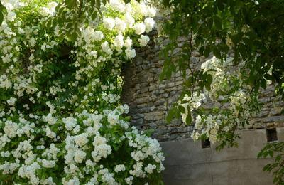 Visitez un jardin enchanteur  Sarreguemines