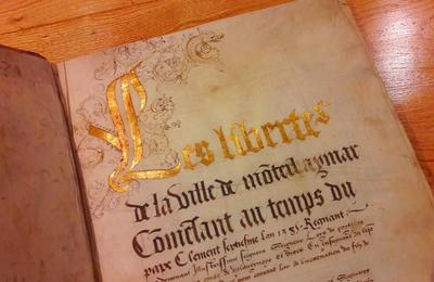Viste Guidée Des Archives De Montélimar, 800 Ans D'histoire