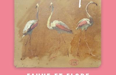 Vivant ! Faune et flore  Martigues