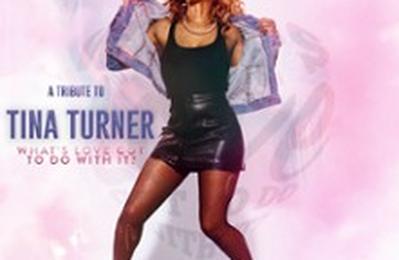 What's Love Got To Do With ? A Tribute To Tina Turner  Paris 8me