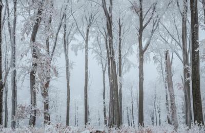 Winterreise  Tours