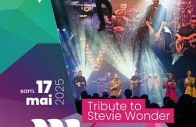 Woco Tribute to Stevie Wonder  Le Coteau