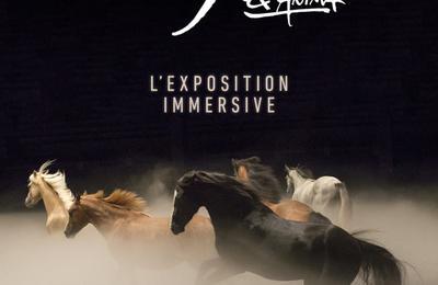 Zingaro Ex-Anima  Paris 15me
