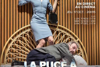 Theatre: La Puce A L Oreille  Rouen