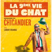 Chicandier la 9eme vie du chat  Forbach