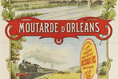  21 sicles d'histoire orlanaise, de Cenabum  la Mtropole   Orlans