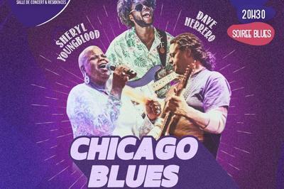 54 Festival Chicago Blues  Tremblay en France