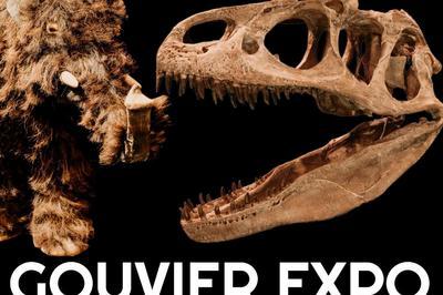 Gouvier Expo dinosaures, fossiles et prhistoire  Guerande