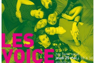 Les voice messengers à Auxerre
