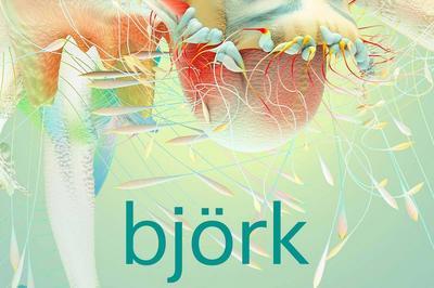 Björk à Bordeaux