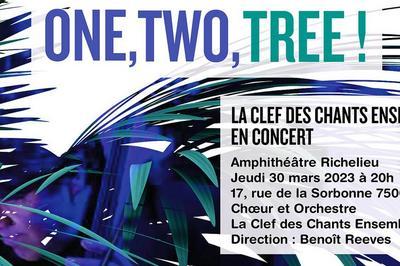 One, two, tree !  Paris 5me