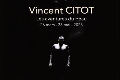 Vincent CITOT - Les aventures du beau  Cotignac