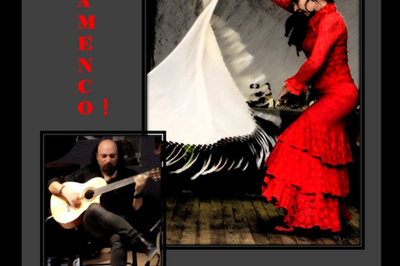 Diner Spectacle flamenco avec Myriam Tchalian et Pepe Haro  Lyon